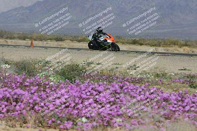 media/Feb-04-2023-SoCal Trackdays (Sat) [[8a776bf2c3]]/Turn 15 Inside Blooming (1050am)/